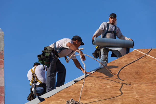 Best Gutter Installation and Roofing  in Jacksboro, TN