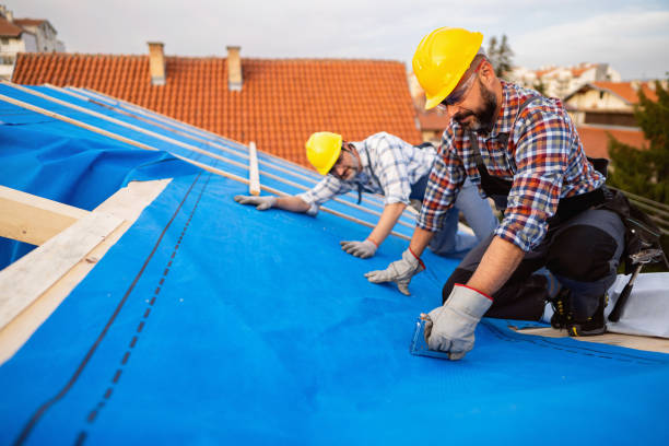 Gutter Installation and Roofing in Jacksboro, TN