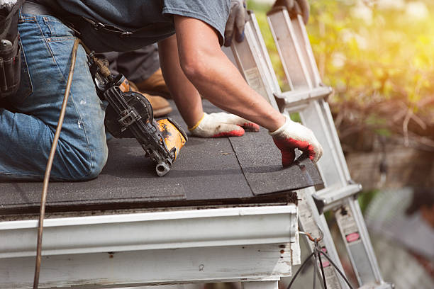 Best Roof Leak Repair  in Jacksboro, TN